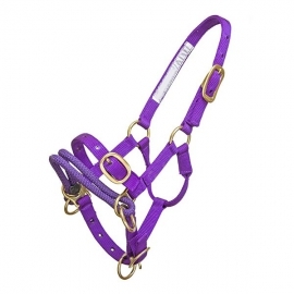 Spanish Bridles